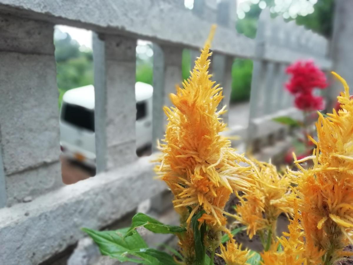 Ella Delightful Surround Homestay المظهر الخارجي الصورة