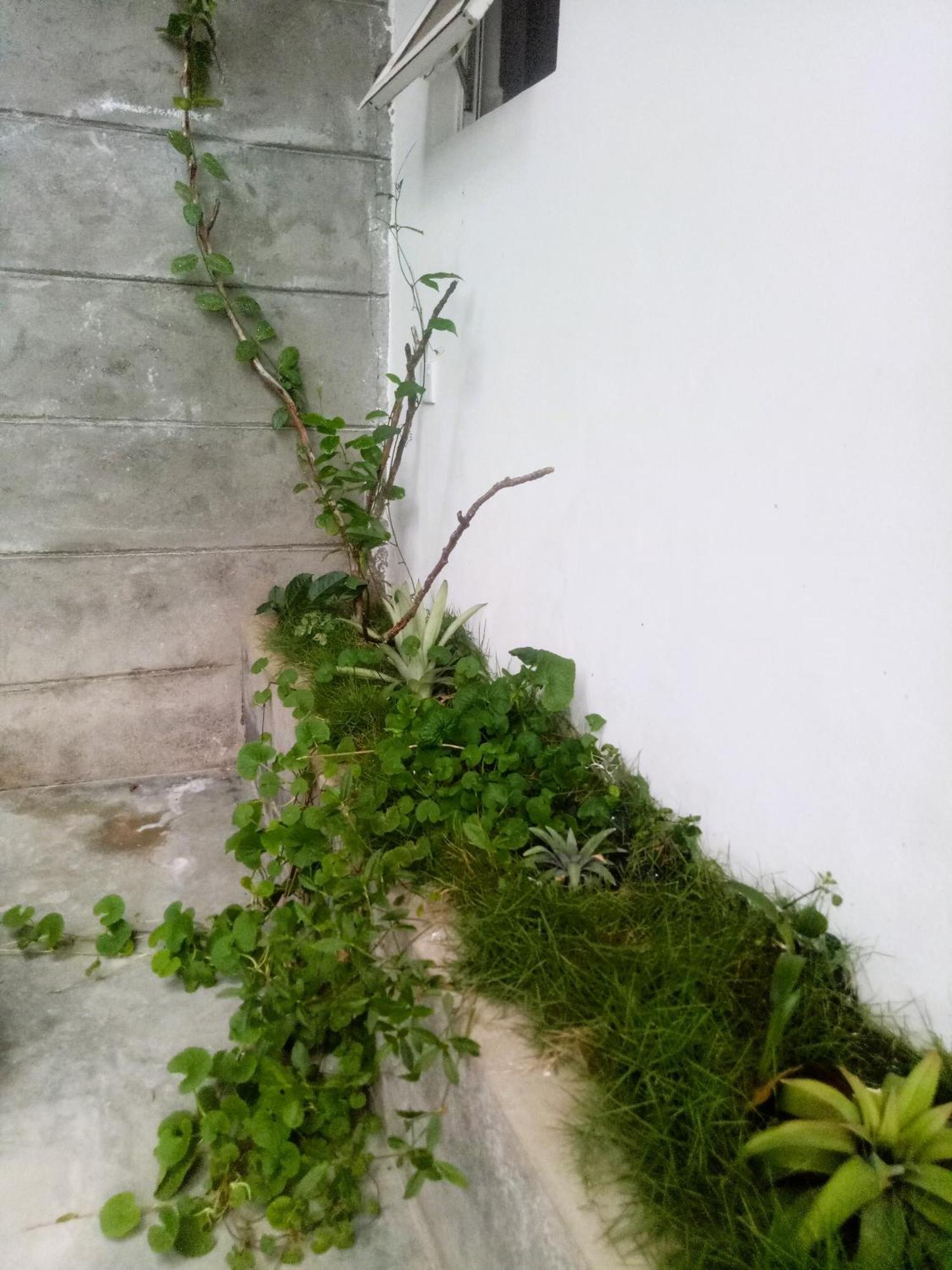 Ella Delightful Surround Homestay المظهر الخارجي الصورة